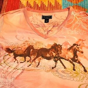 Western Bits & Bridle top